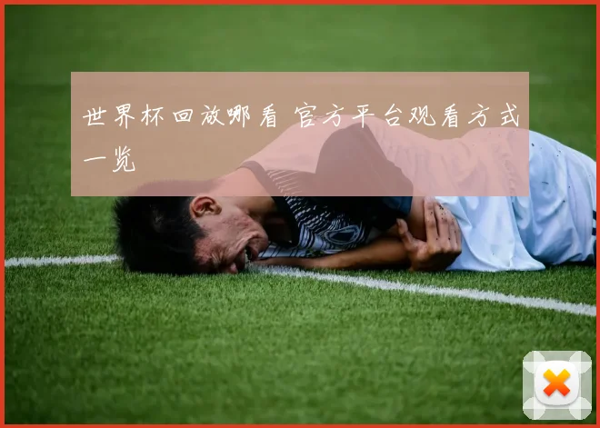 世界杯回放哪看 官方平台观看方式一览