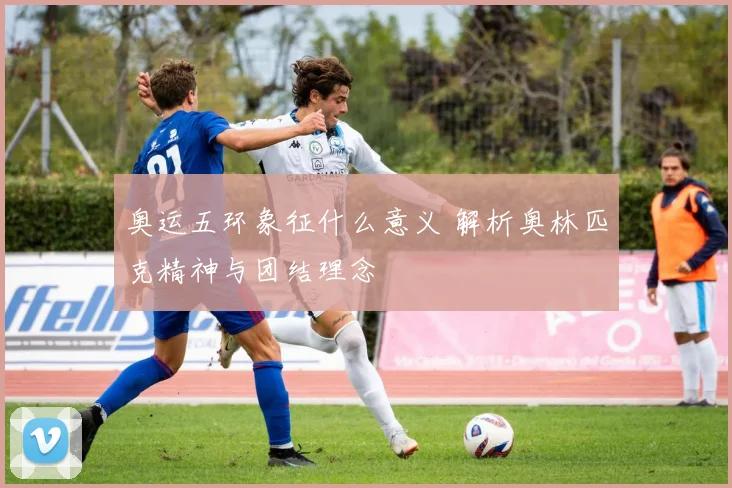 奥运五环象征什么意义 解析奥林匹克精神与团结理念
