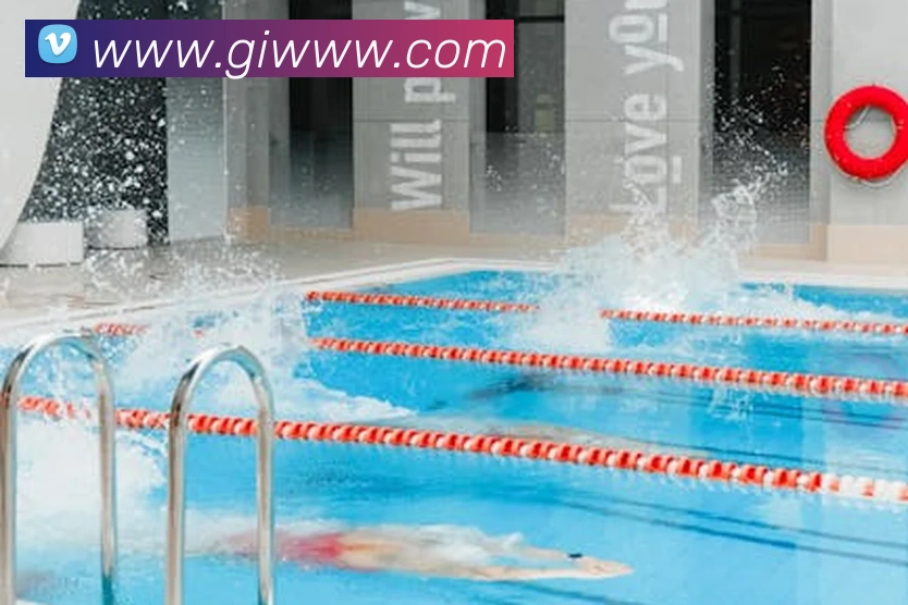 世界杯app官网发展历程