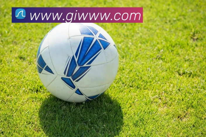 美洲杯季军赛比分出炉巴西争夺第三名取胜收官